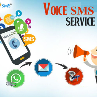 Bulk SMS &  Voice Call Service Provide